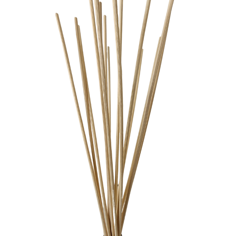 Reed Diffuser Sticks - Pack of 10 – Bottles & Jars